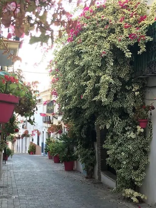Casa Maria Apartment Estepona